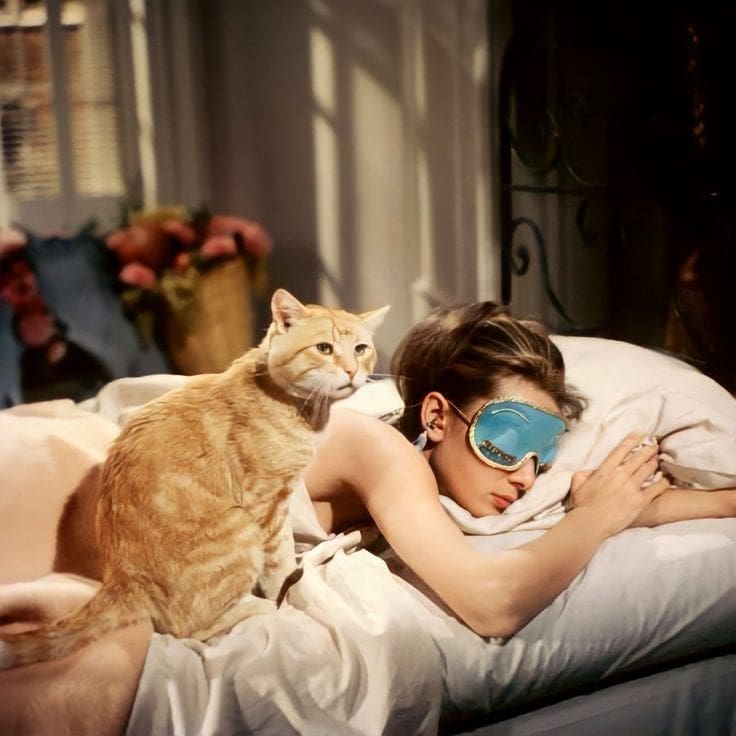 Woman sleeping in bed with an eye mask and cat nearby, illustrating magnesium vs melatonin for sleep and nighttime relaxation.